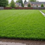 Septic Systems After Heavy Rains: Jacksonville Homeowner Guide
